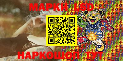 прущие грибы Краснокаменск