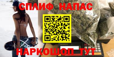 прущие грибы Краснокаменск