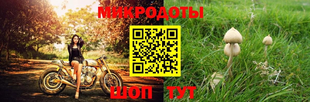 Волгодонск  Галлюциногенные грибы прущие грибы  Вход с VPN  продажа наркотиков  Псилоцибиновые грибы Cubensis 